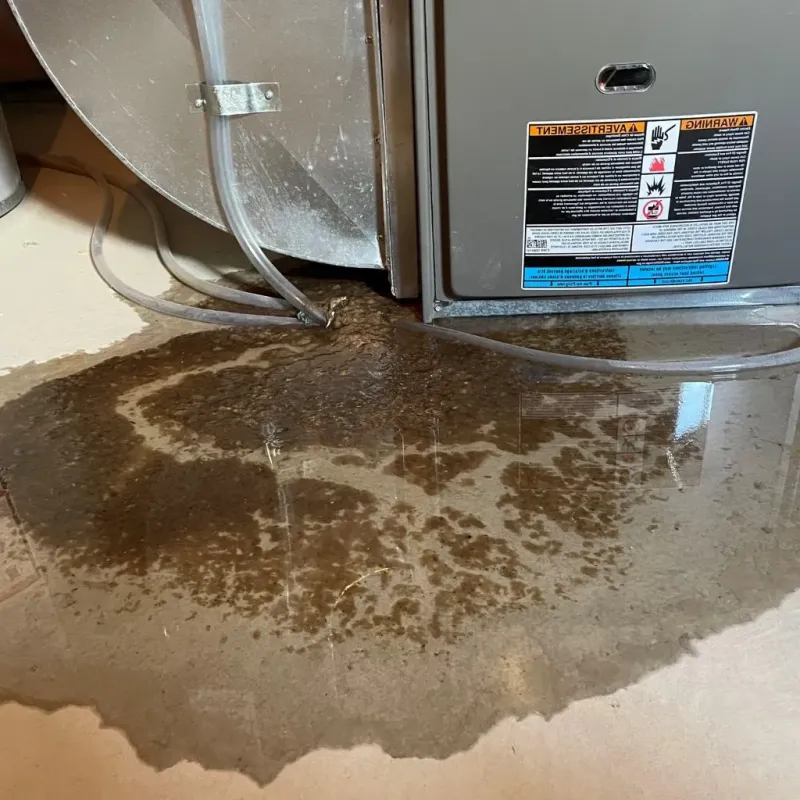 Pipe Burst and Leak Restoration in Center City, PA